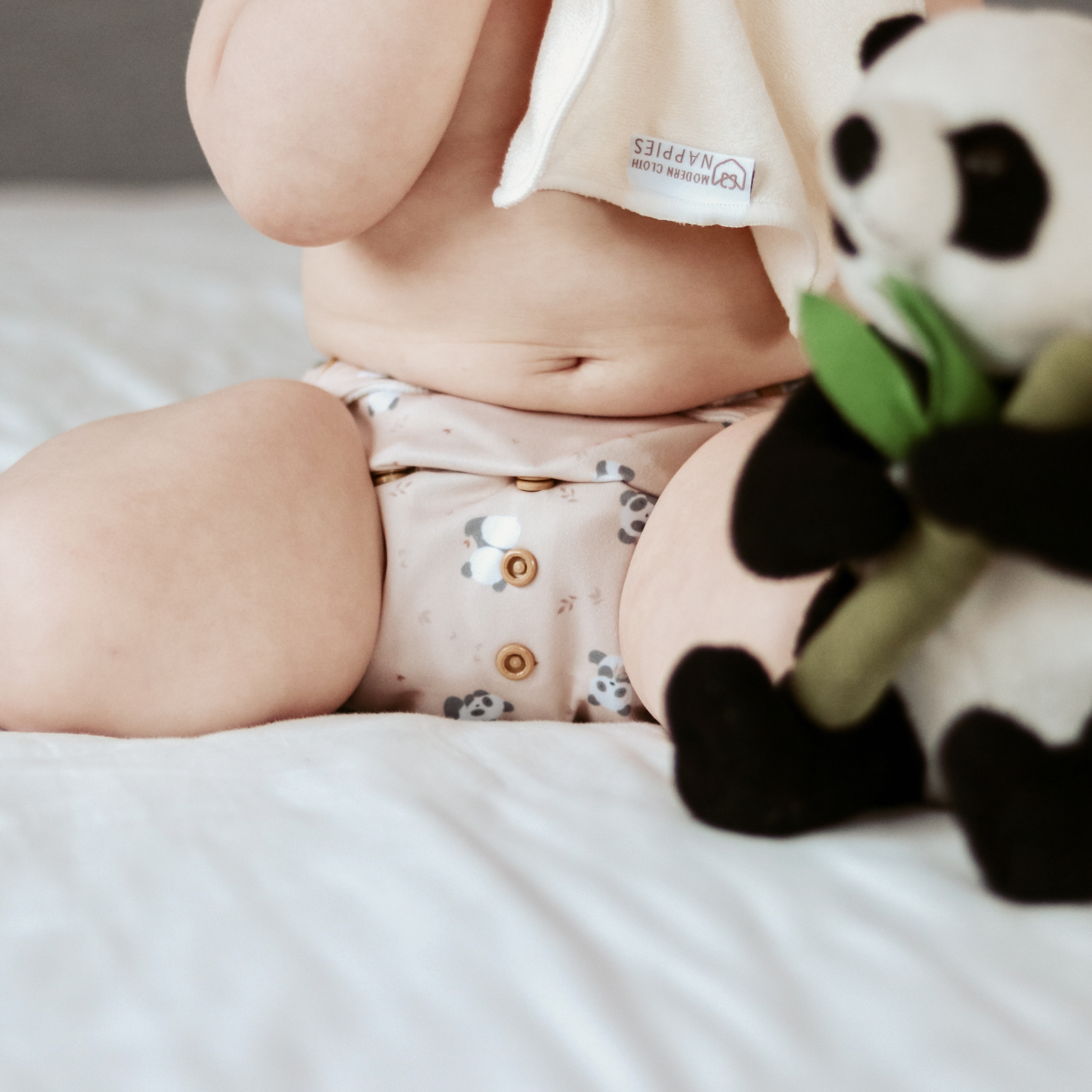 panda reusable nappy